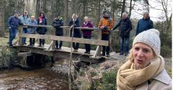 Wandern in der Südheide